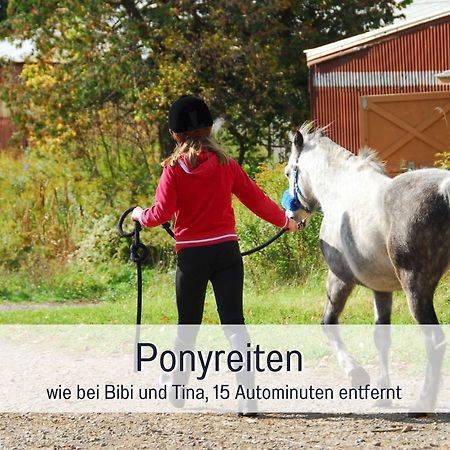 Natur-Chalet Zum Nationalpark Franz Inkl. E-Auto Allenbach Zewnętrze zdjęcie