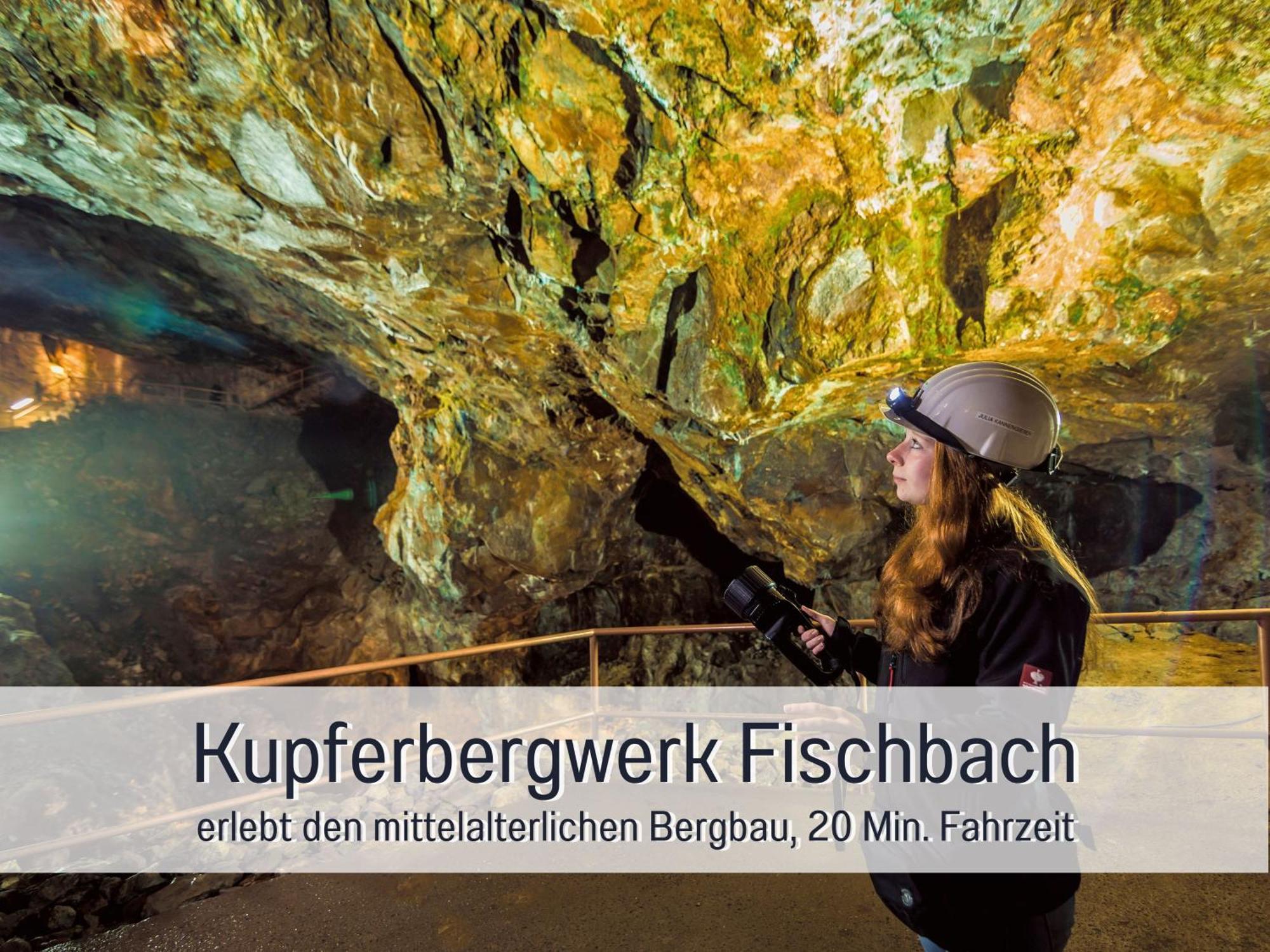 Natur-Chalet Zum Nationalpark Franz Inkl. E-Auto Allenbach Zewnętrze zdjęcie