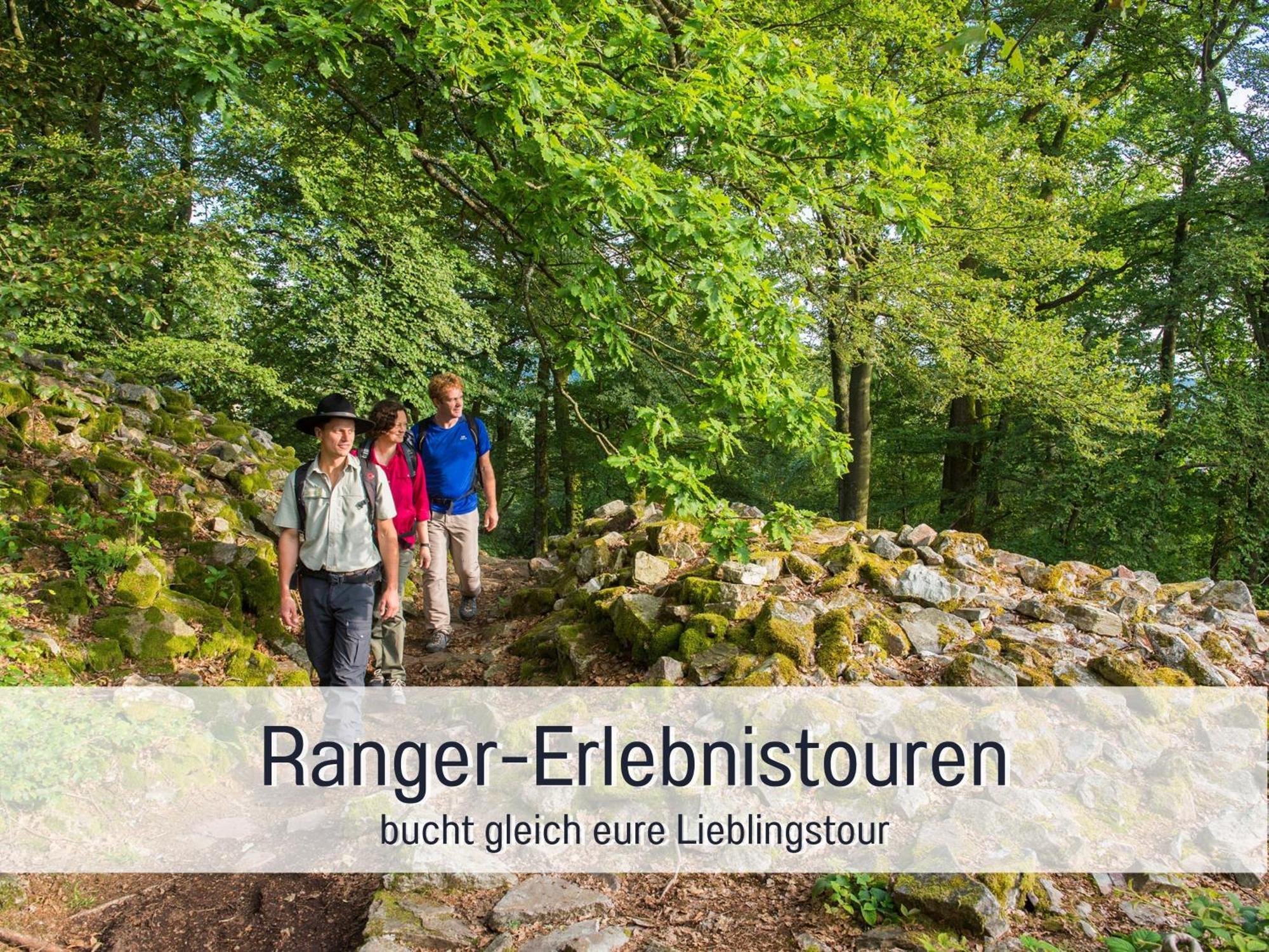 Natur-Chalet Zum Nationalpark Franz Inkl. E-Auto Allenbach Zewnętrze zdjęcie