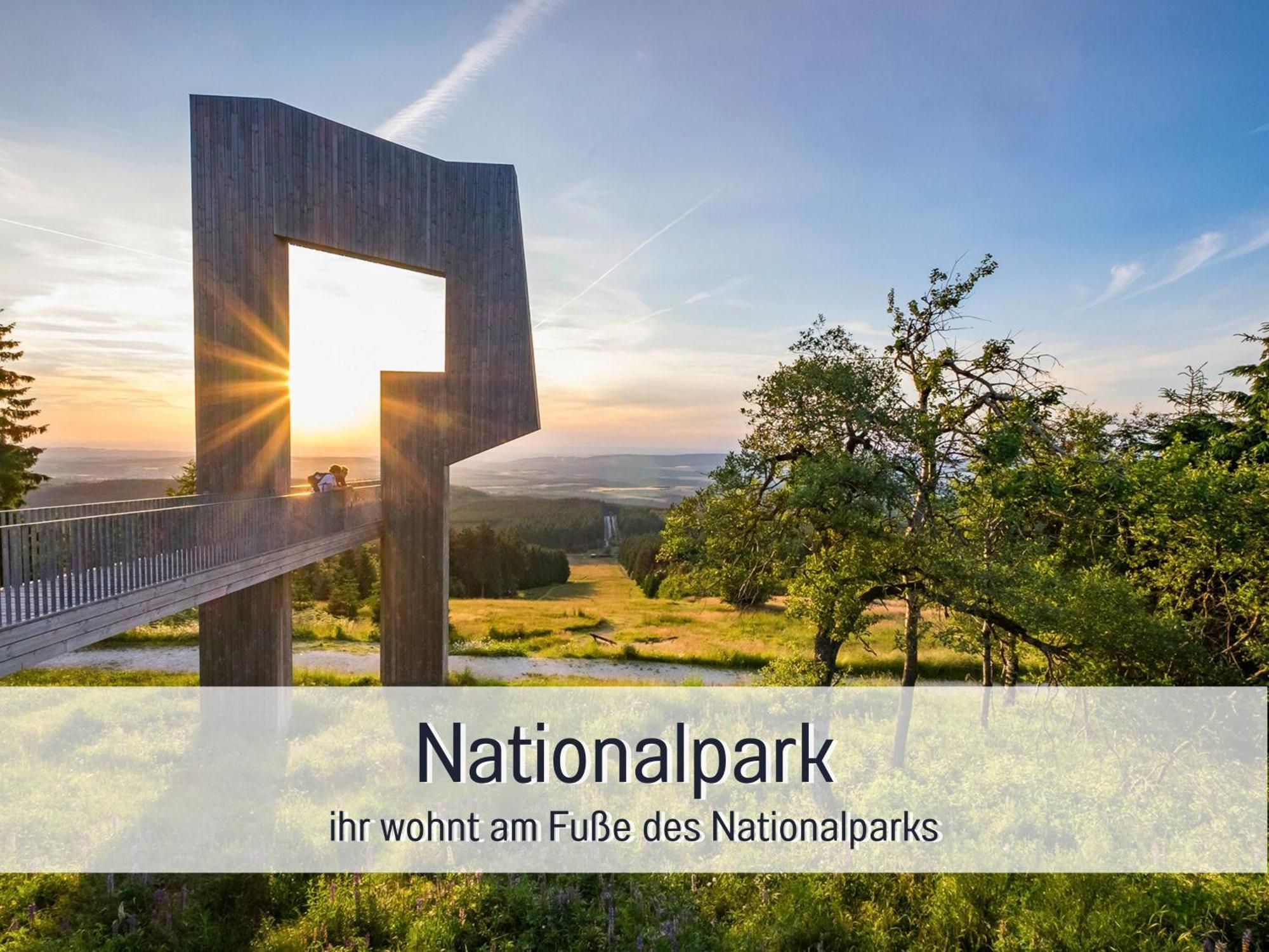 Natur-Chalet Zum Nationalpark Franz Inkl. E-Auto Allenbach Zewnętrze zdjęcie